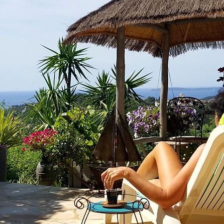Nouveau ! Chambre D'Hote Insolite Privee " Coeurs De Pirates A Bali En Provence" Spa Sauna Massages Dans Cadre Exotique D'Amenagements Exterieurs D'Exception Ete Comme Hiver Bienvenue !!! Кавалер-сюр-Мер Экстерьер фото