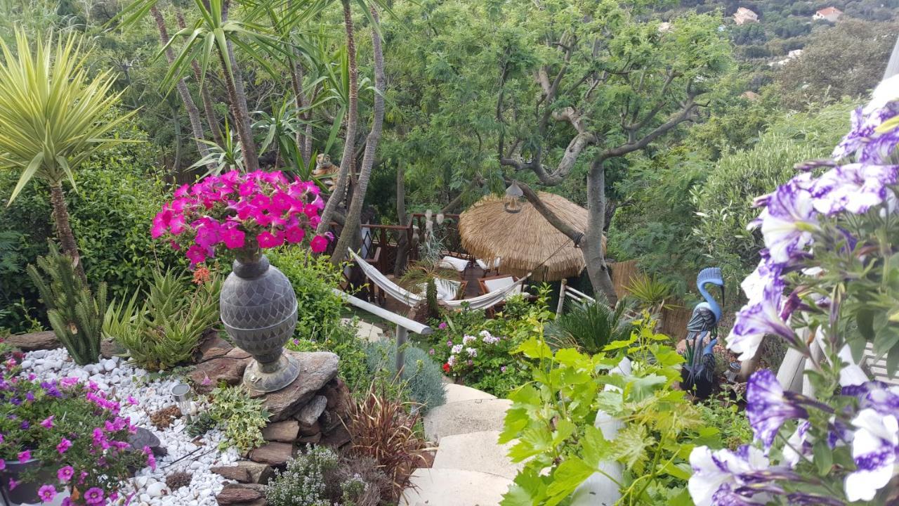Nouveau ! Chambre D'Hote Insolite Privee " Coeurs De Pirates A Bali En Provence" Spa Sauna Massages Dans Cadre Exotique D'Amenagements Exterieurs D'Exception Ete Comme Hiver Bienvenue !!! Кавалер-сюр-Мер Экстерьер фото