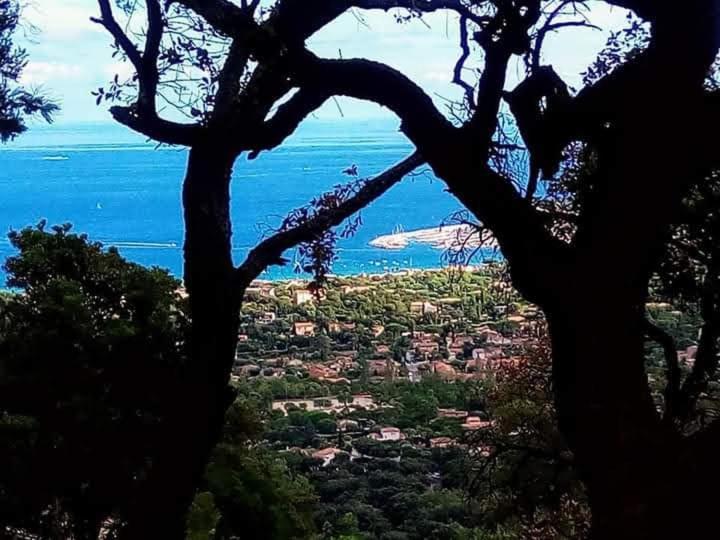 Nouveau ! Chambre D'Hote Insolite Privee " Coeurs De Pirates A Bali En Provence" Spa Sauna Massages Dans Cadre Exotique D'Amenagements Exterieurs D'Exception Ete Comme Hiver Bienvenue !!! Кавалер-сюр-Мер Экстерьер фото